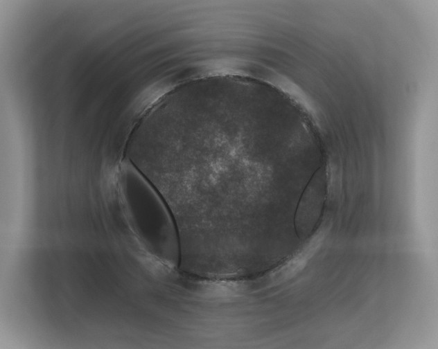 X0000112800785200908211132