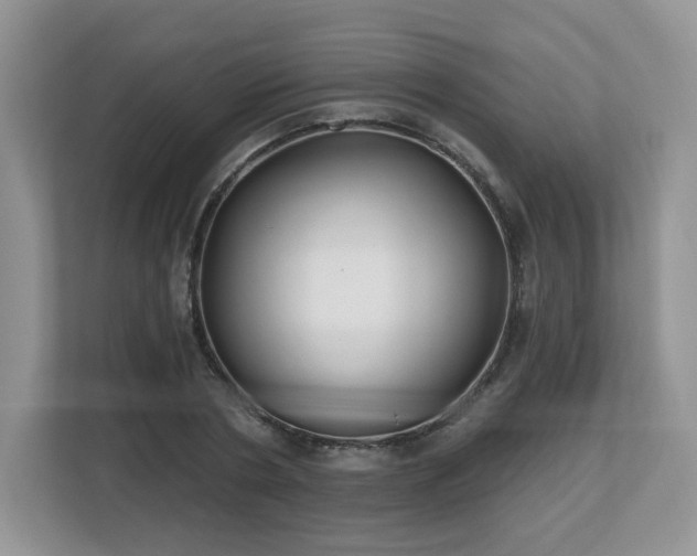 X0000112800786200908211132