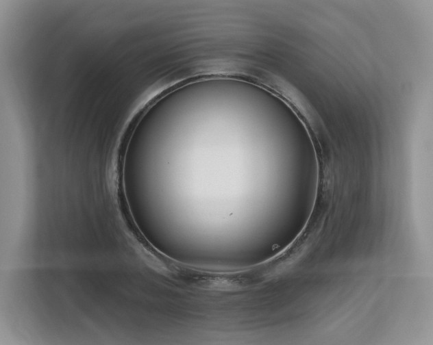 X0000112800787200908211132