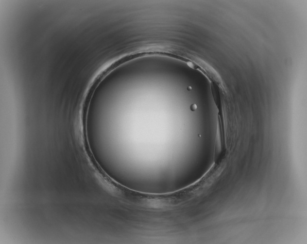 X0000112800792200908211132