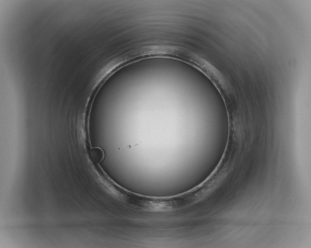 X0000112800794200908211132