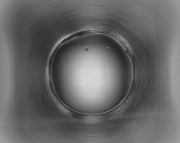 X0000112800796200908211132