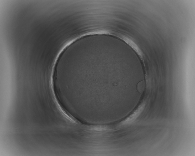 X0000112800797200908211132