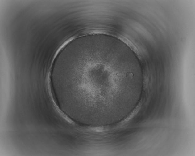 X0000112800798200908211132