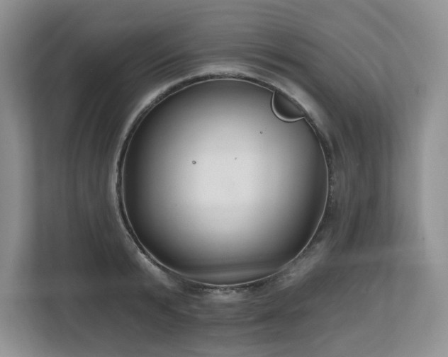 X0000112800799200908211132