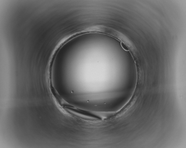 X0000112800800200908211132