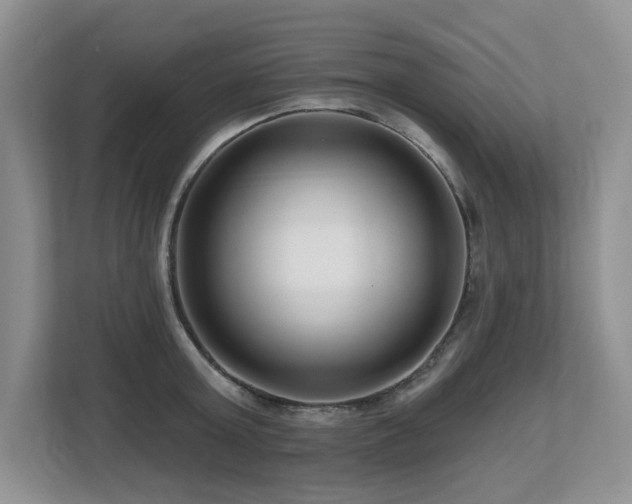 X0000112800803200908211132
