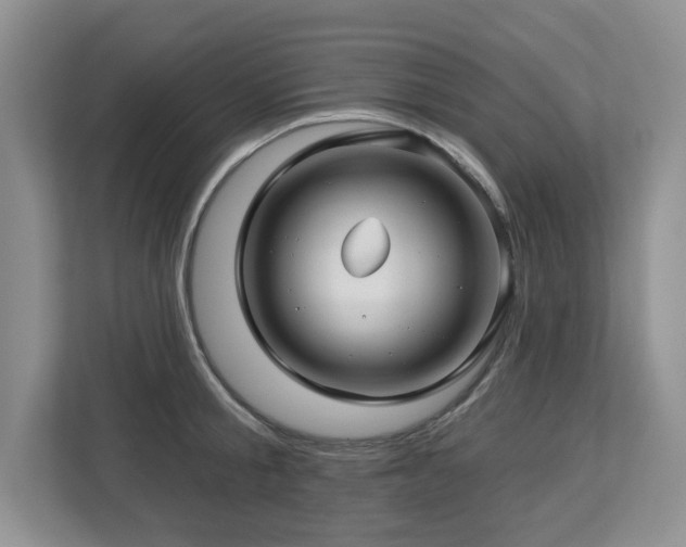 X0000112800805200908211132