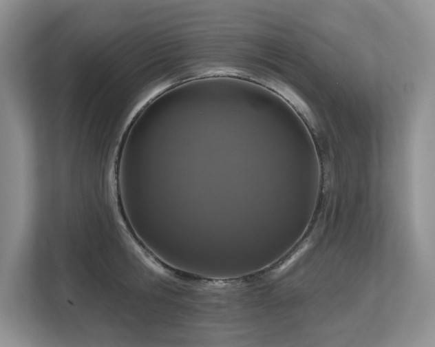 X0000112800806200908211132