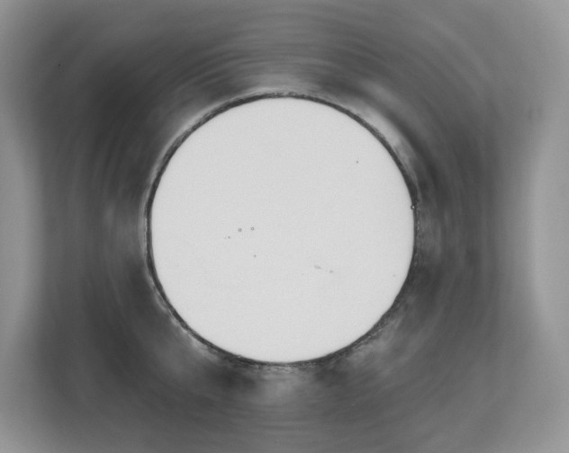 X0000112800807200908211132