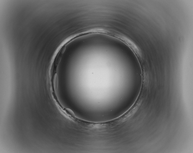 X0000112800808200908211132