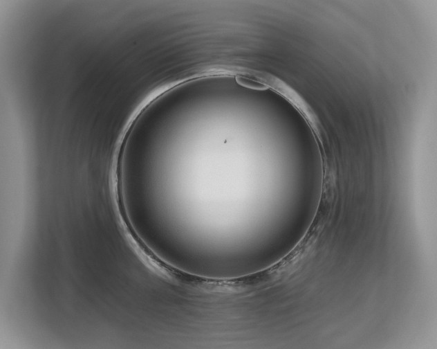 X0000112800811200908211132