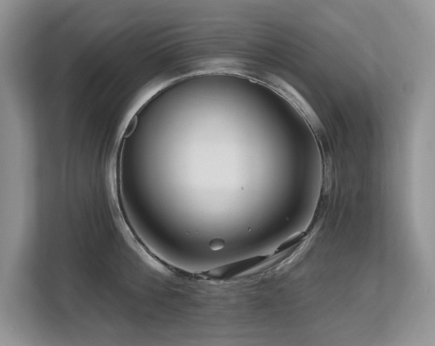X0000112800812200908211132
