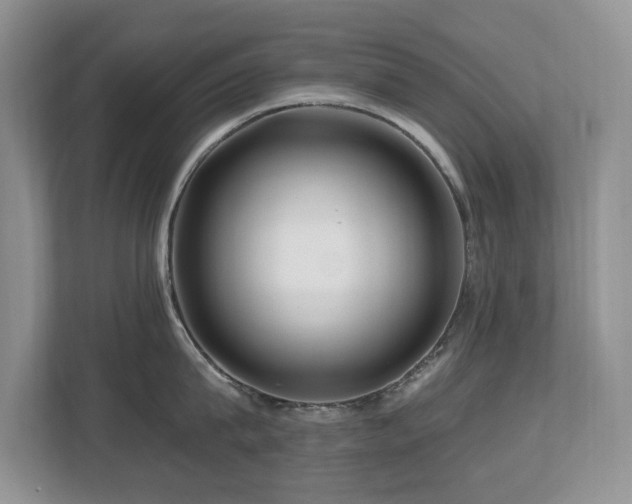 X0000112800815200908211132