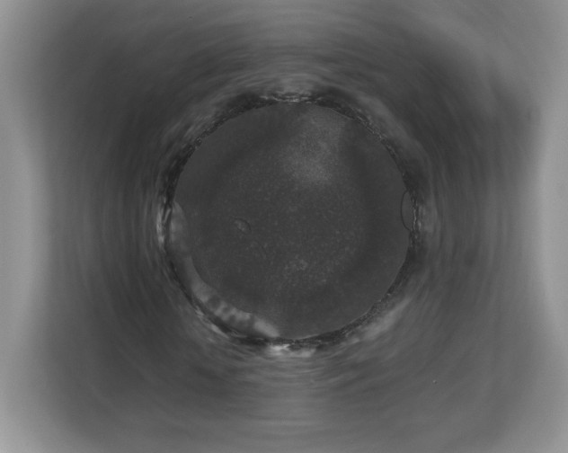 X0000112800818200908211131