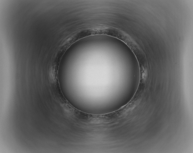 X0000112800819200908211131