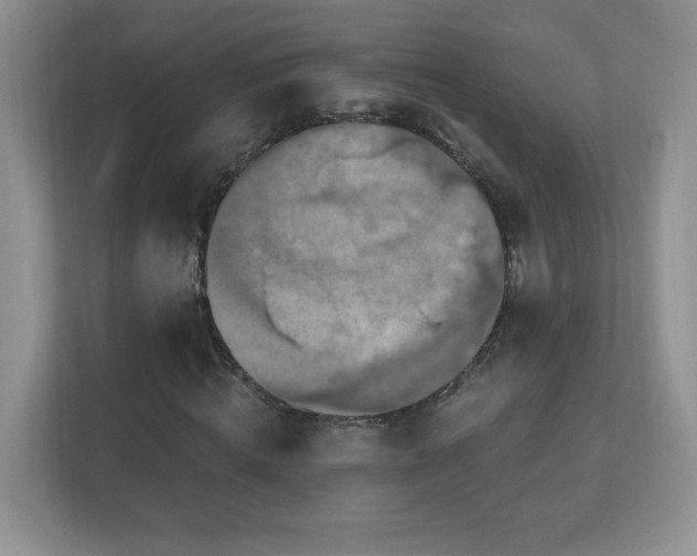 X0000112800820200908211131