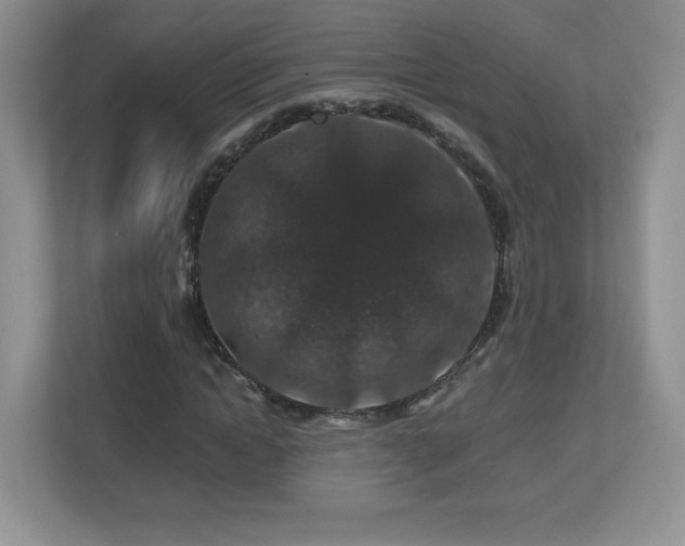 X0000112800822200908211131