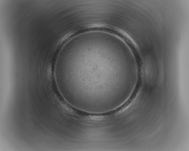 X0000112800825200908211131