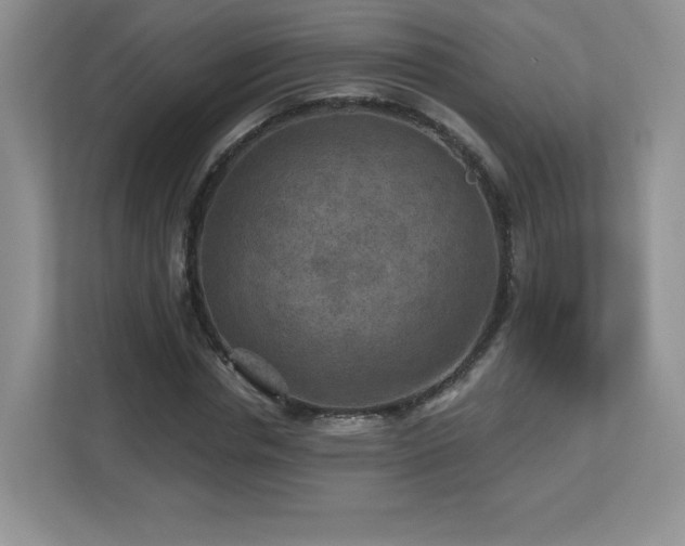 X0000112800826200908211131
