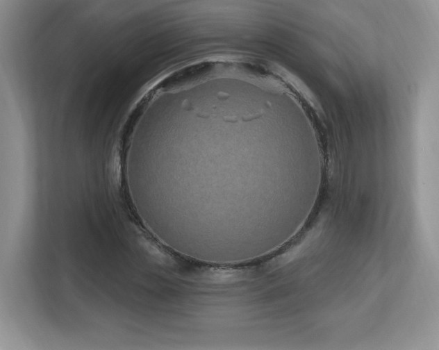 X0000112800829200908211132