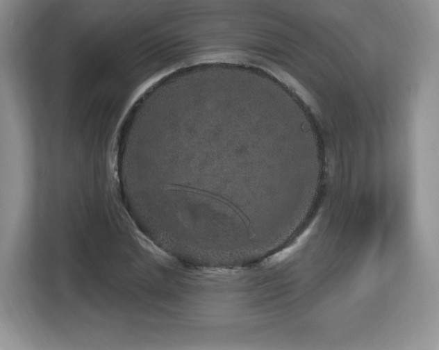 X0000112800830200908211132