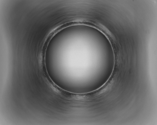 X0000112800831200908211132