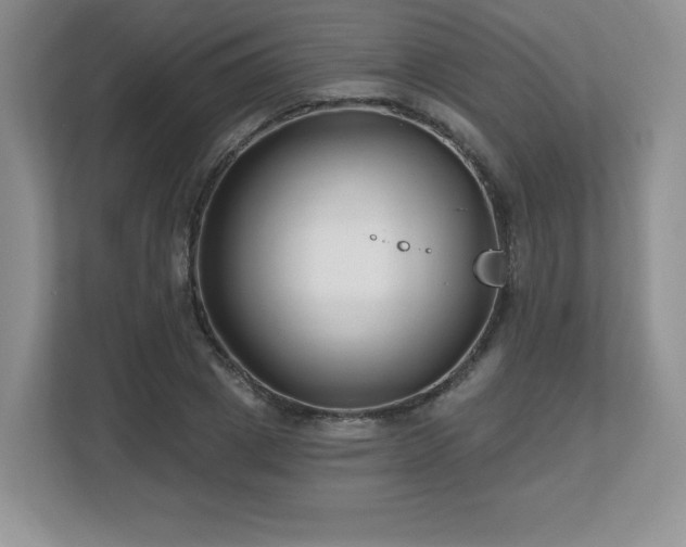 X0000112800833200908211132
