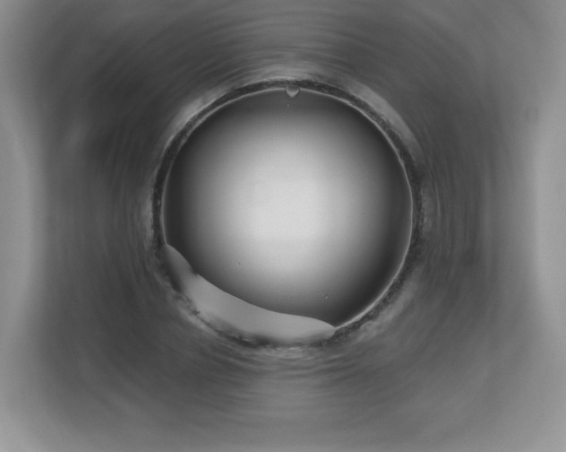 X0000112800834200908211132