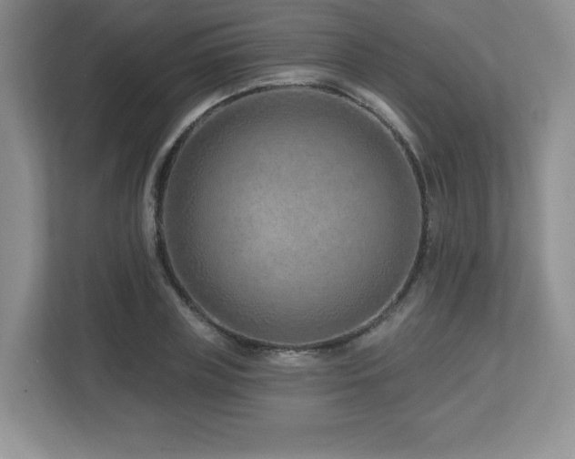 X0000112800835200908211132