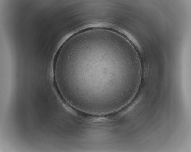 X0000112800837200908211132