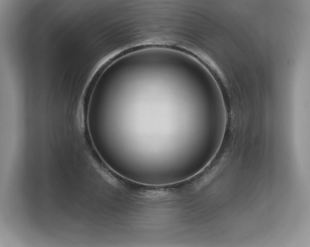 X0000112800838200908211132