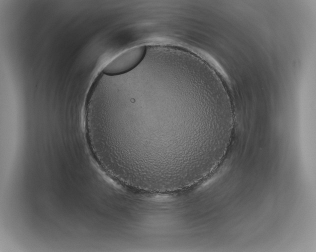 X0000112800839200908211132