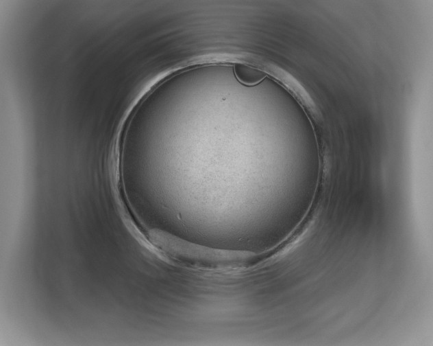 X0000112800844200908211132