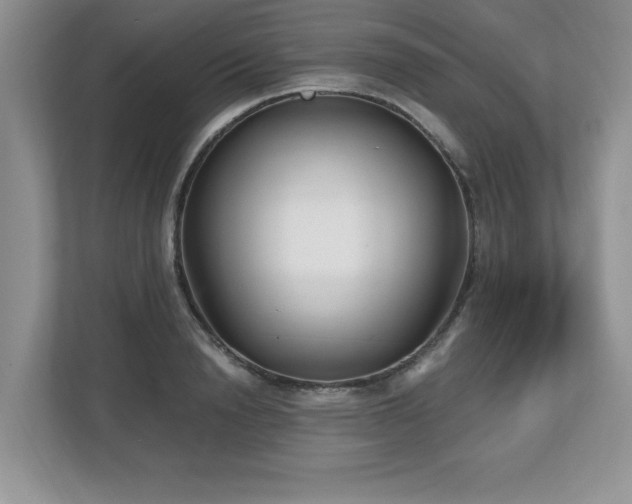 X0000112800846200908211132