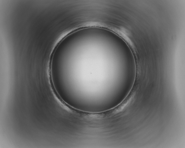 X0000112800847200908211132