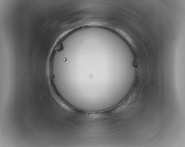 X0000112800848200908211132