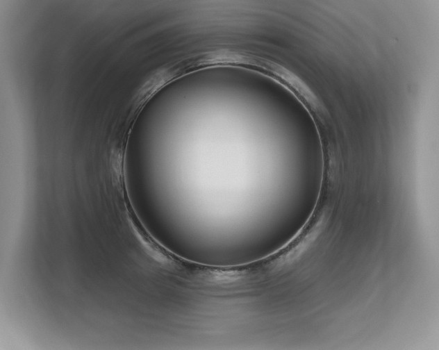 X0000112800849200908211132