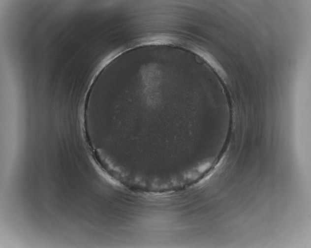 X0000112800850200908211132