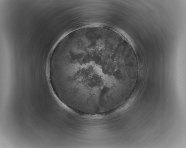X0000112800851200908211132