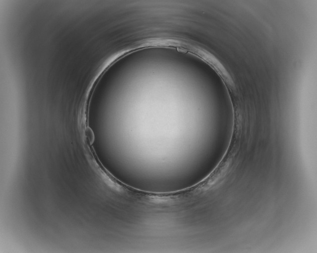 X0000112800852200908211132