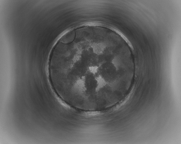 X0000112800853200908211132