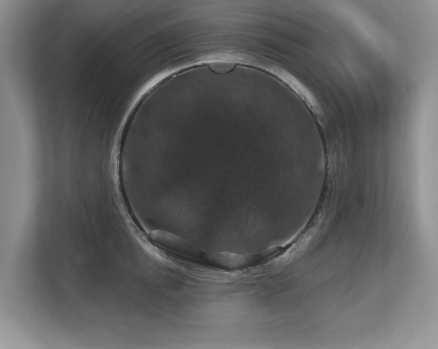 X0000112800854200908211132