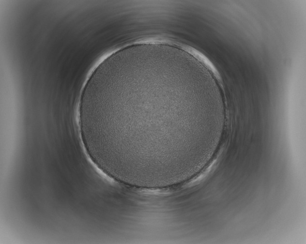 X0000112800855200908211132