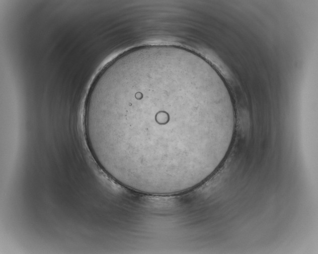 X0000112800856200908211132