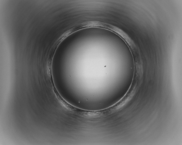 X0000112800857200908211132