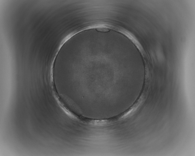 X0000112800858200908211132