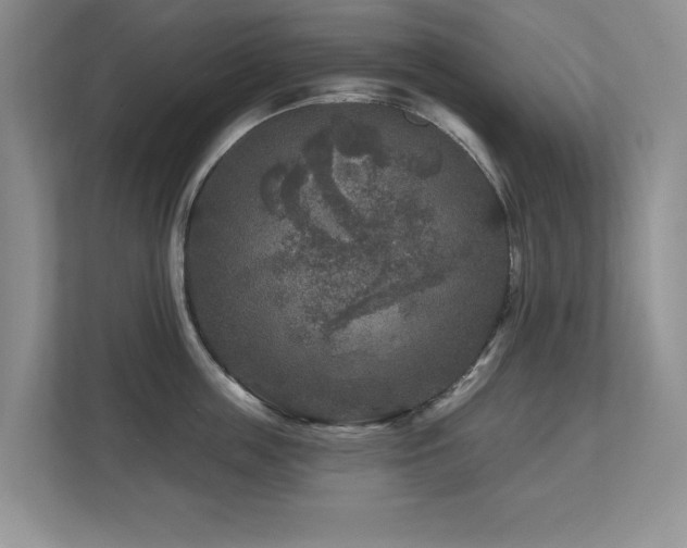 X0000112800859200908211132