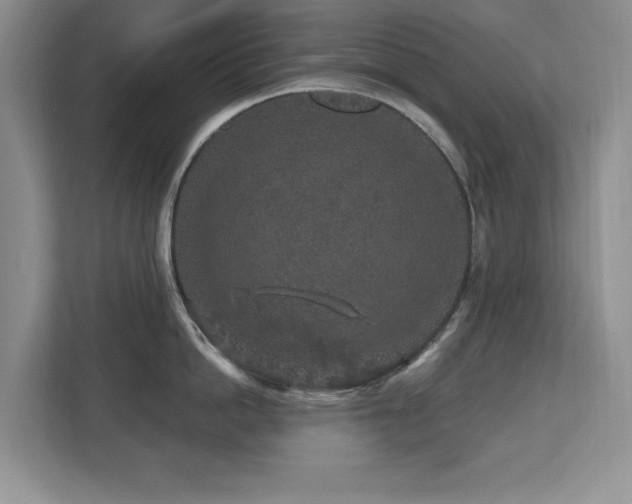 X0000112800862200908211132