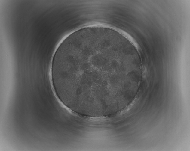 X0000112800863200908211132